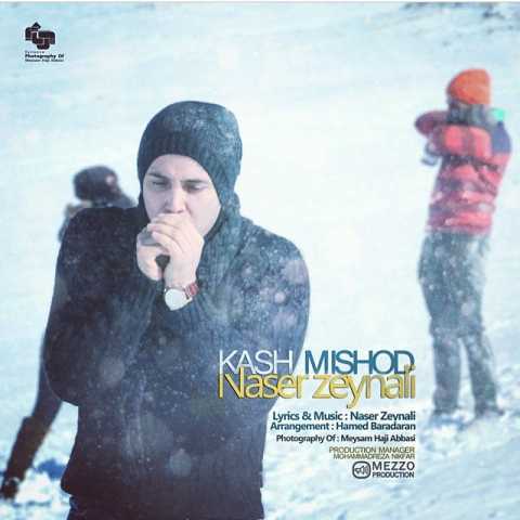 Naser Zeynali Kash Mishod